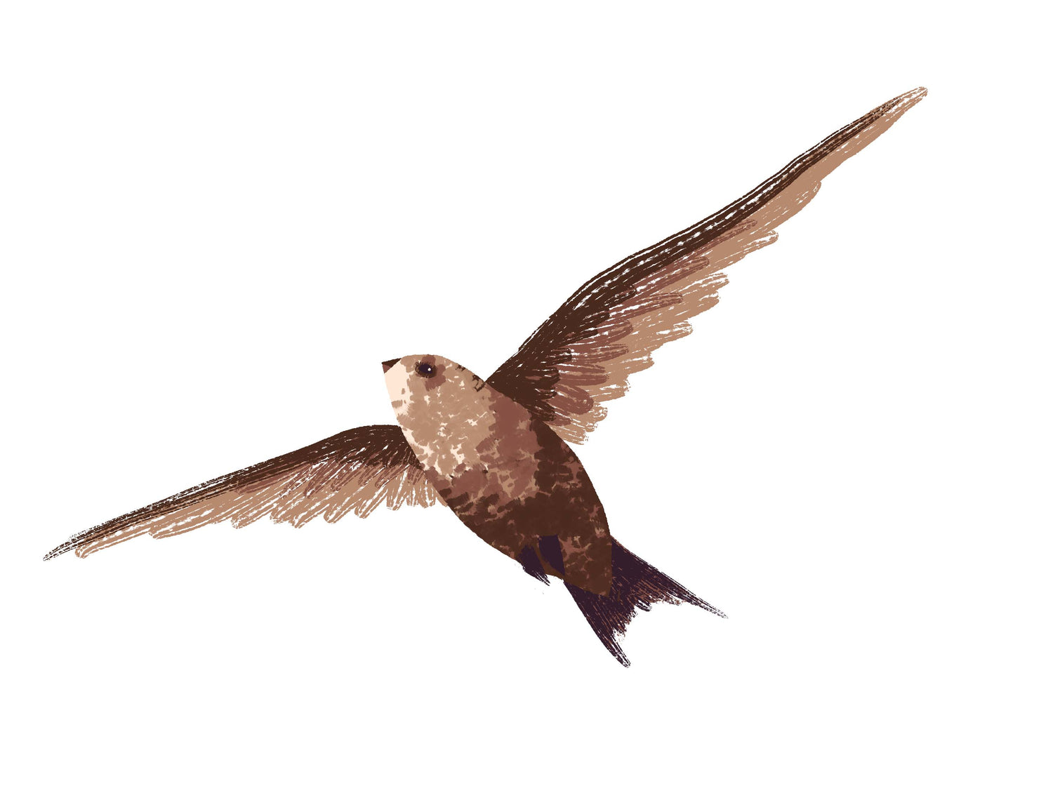 Bird Girl | A Dream for a Fairer World for all