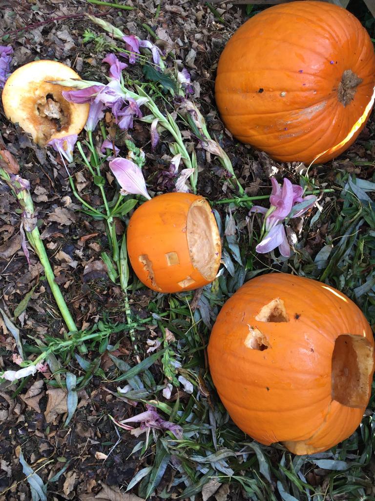 Composting | Waste we can control