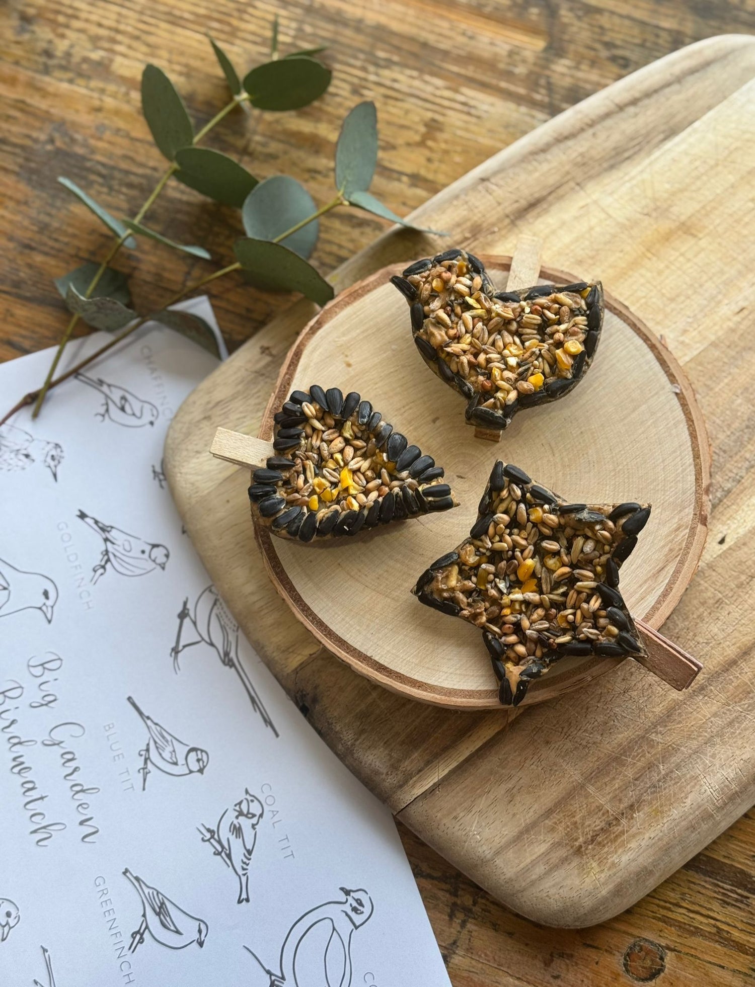 Create | Beautiful Bird Feeders