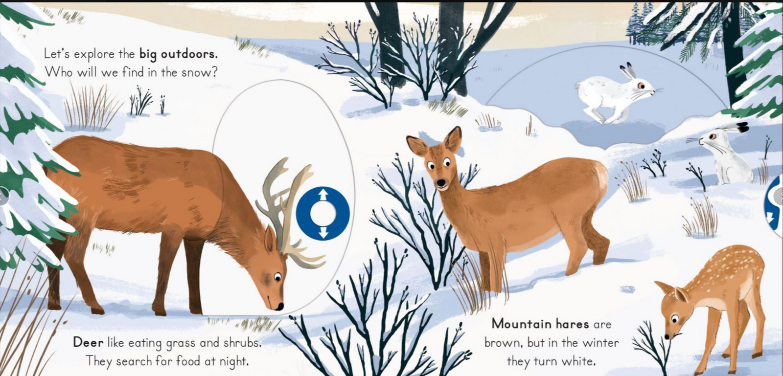 Big Outdoors for little Explorers : Snow