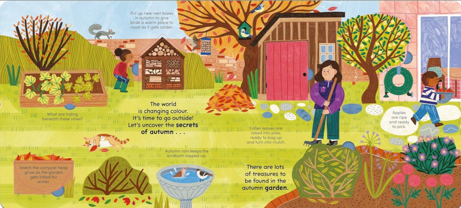 Walk in Autumn (Lift the flap)