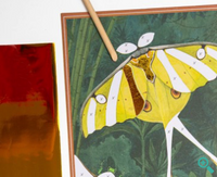 Moulin Roty Fantasy boards Tout autour du monde