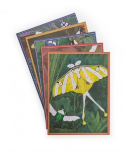 Moulin Roty Fantasy boards Tout autour du monde