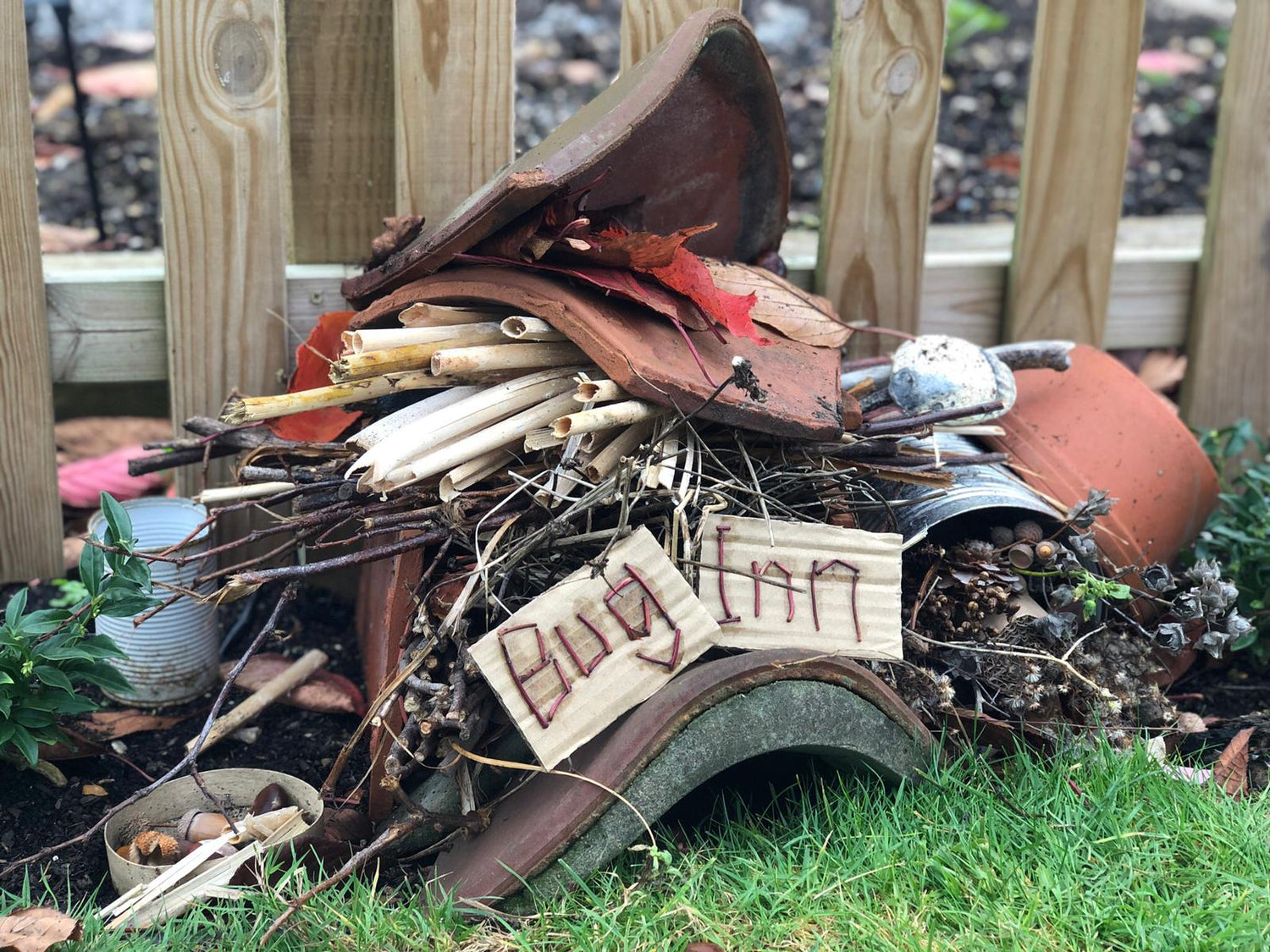 FORAGE & CREATE | OPENING AN BUG HOTEL