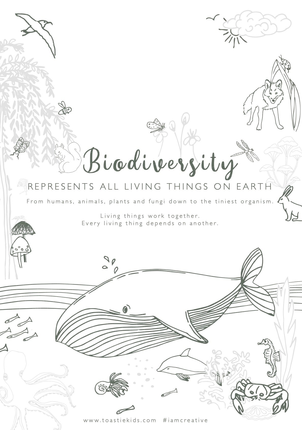 Biodiversity Colouring Page