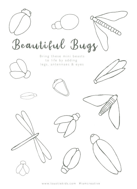 Beautiful Bugs