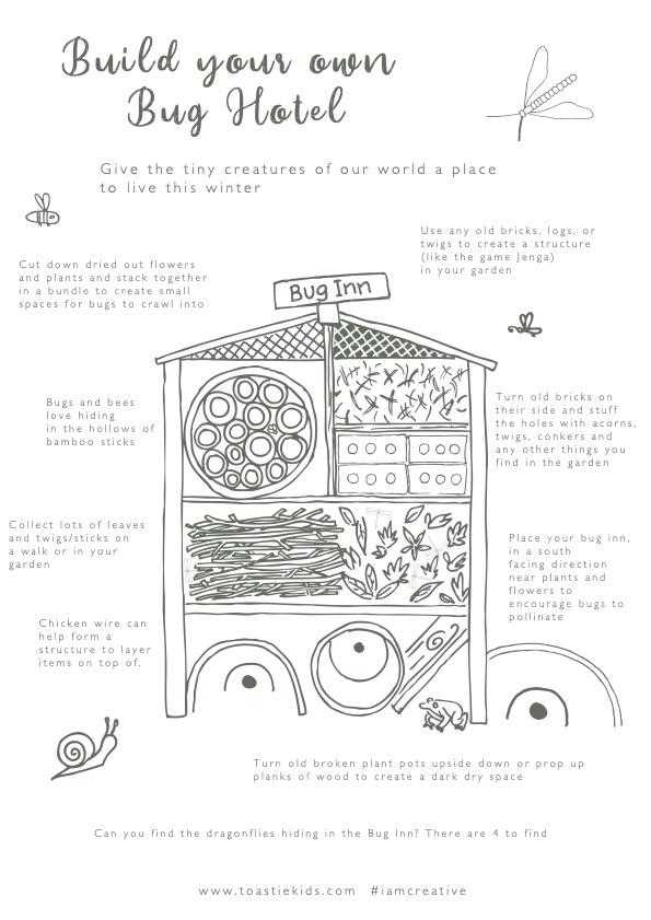 How to Build a Bug Hotel