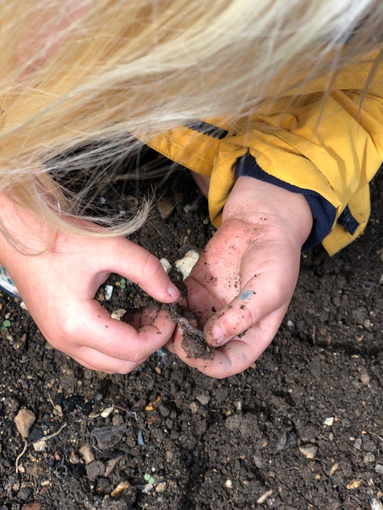 UNDERSTANDING NATURE | A LITTLE DIRT NEVER HURT