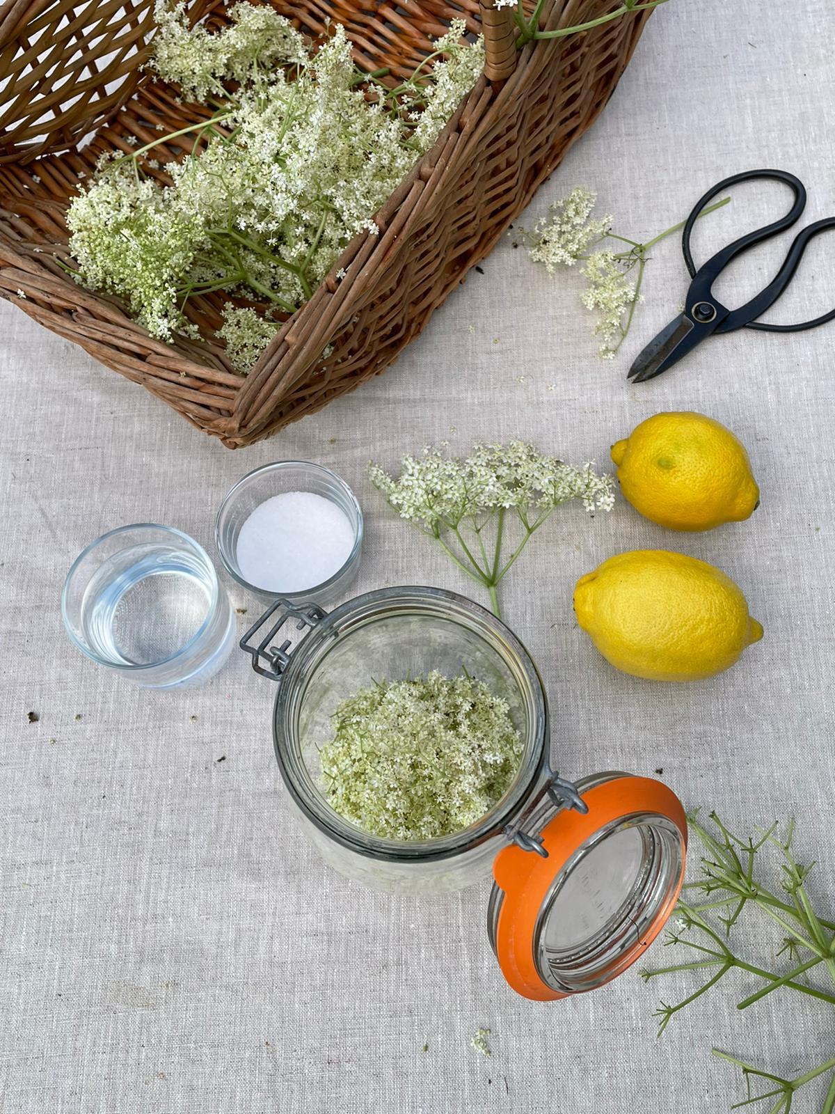 AN ENGLISH SUMMER | ELDERFLOWER HARVEST