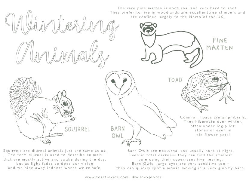 Wintering Animals