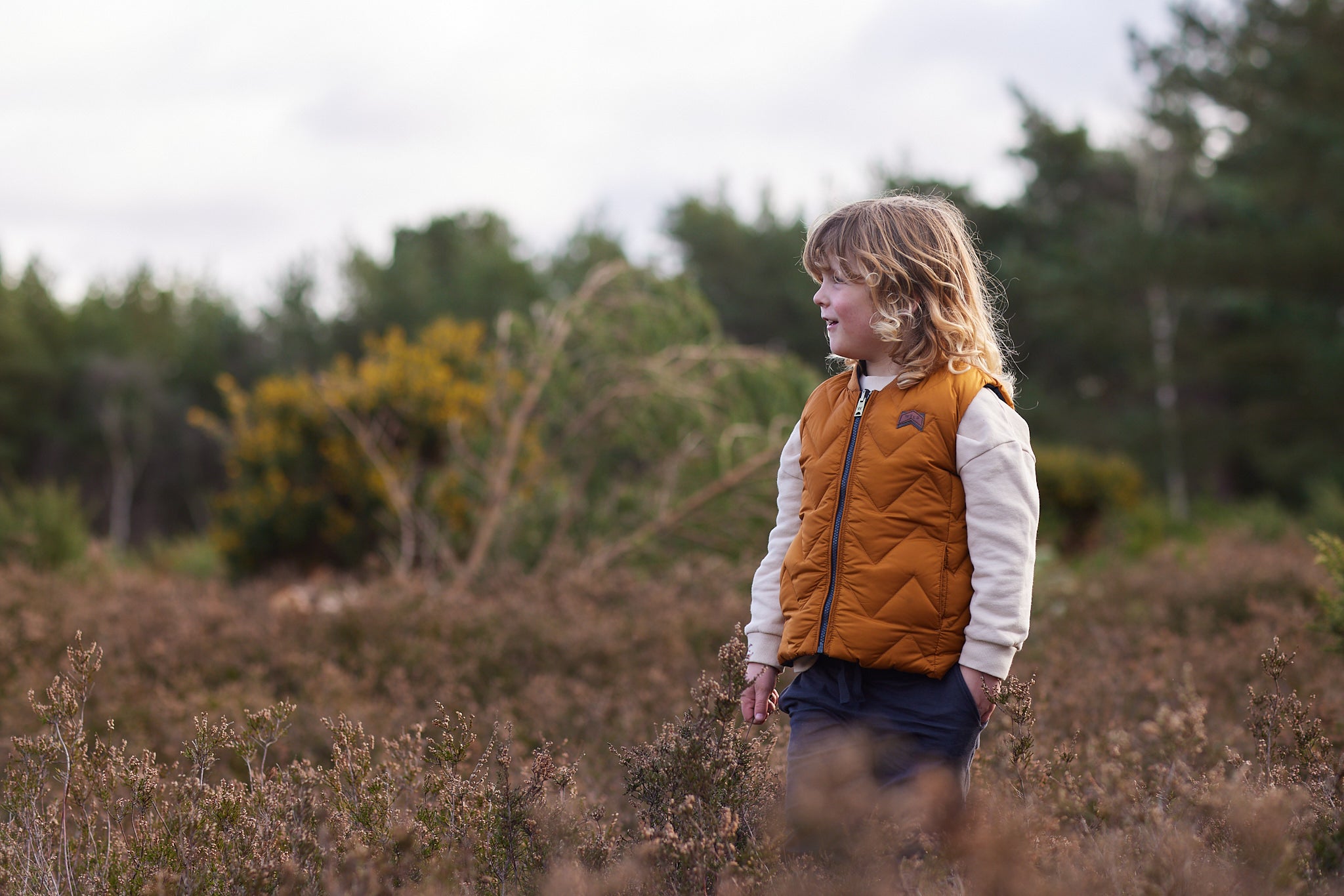 Gilets