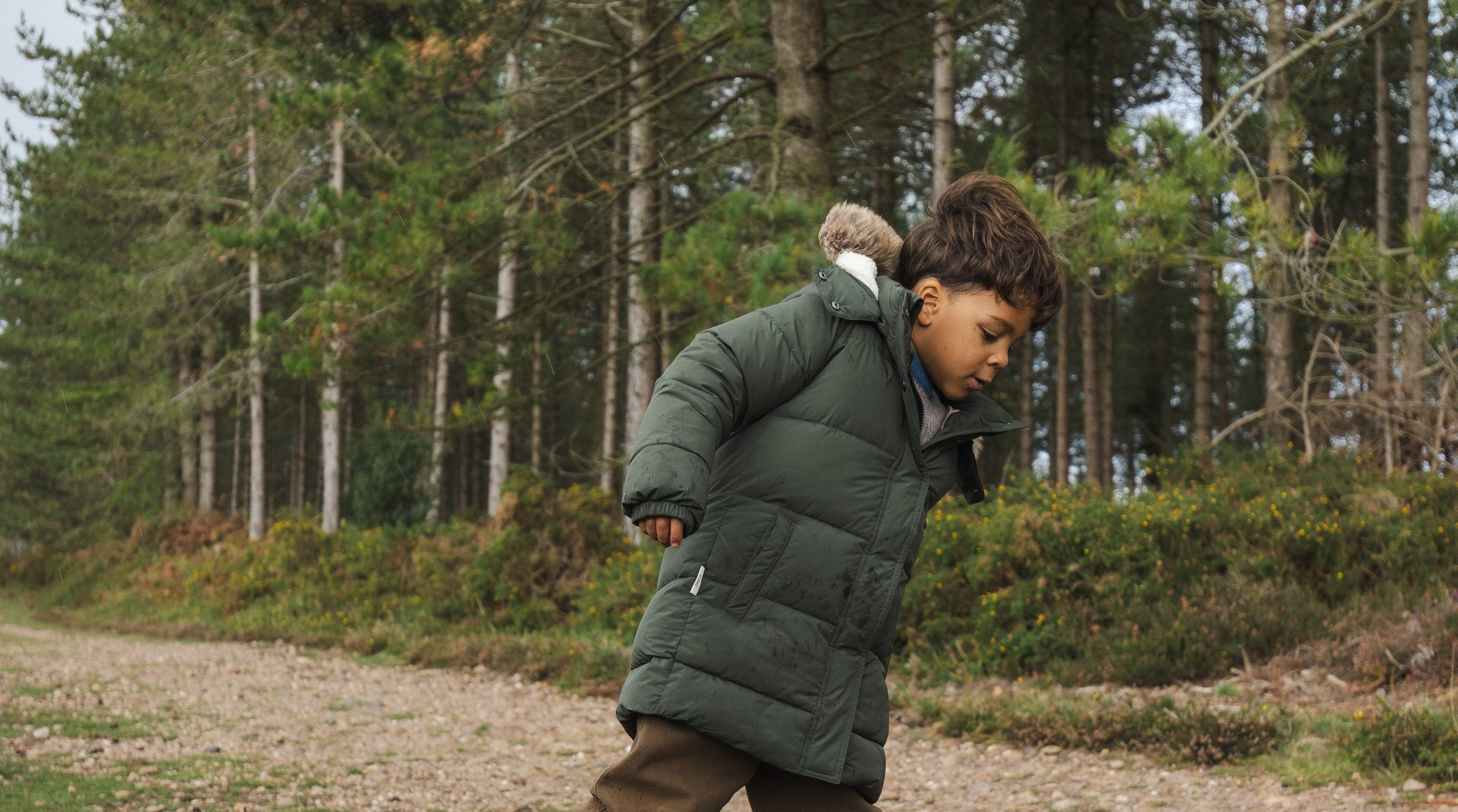 töastie black friday sale