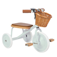 Banwood Trike - Pale Mint