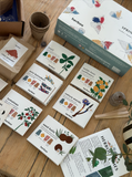 Spring | Gardening Kit, by Herboo