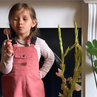 Rose Pink Waterproof Dungarees