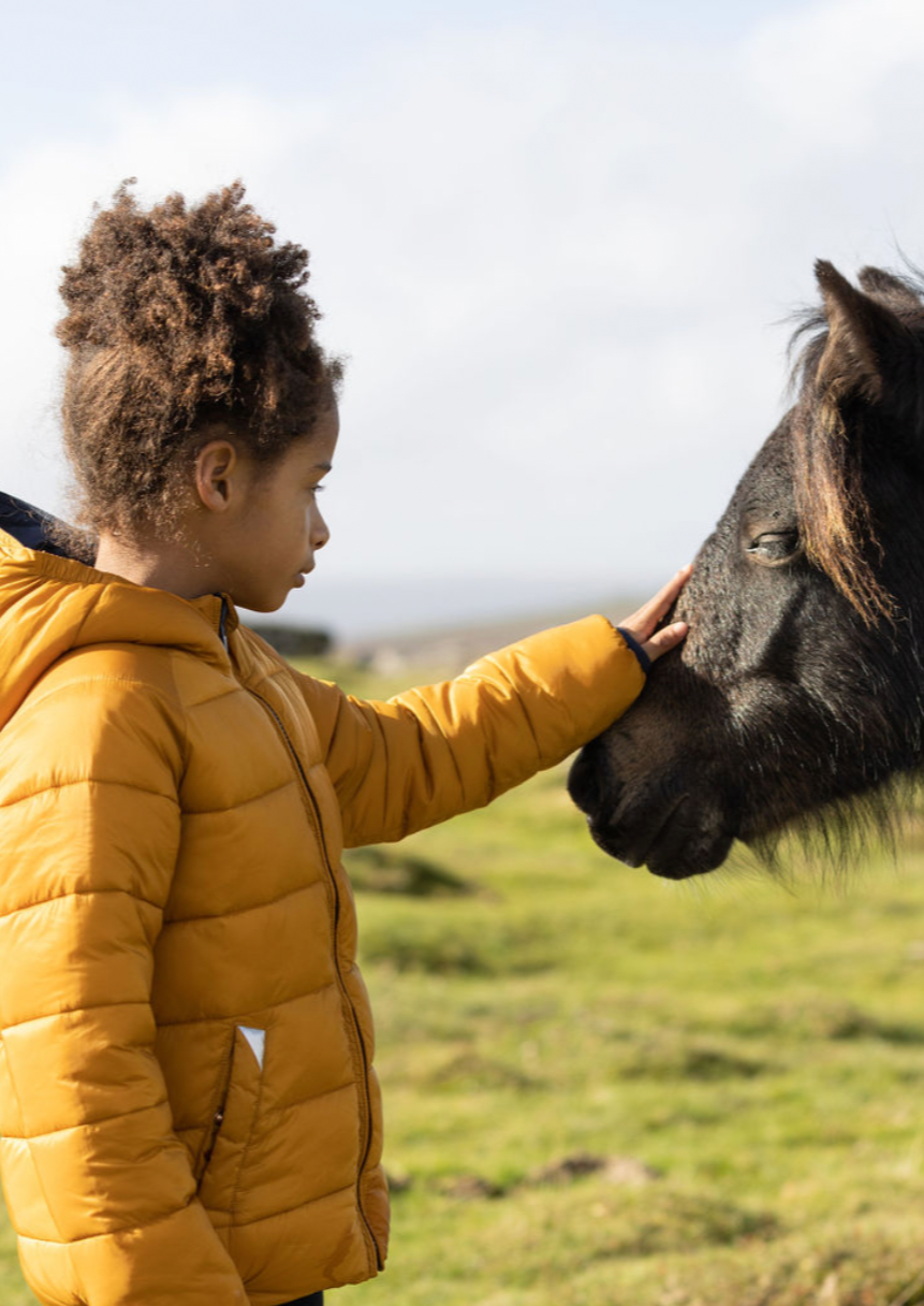 Ink Navy | Honey EcoReversible Puffer